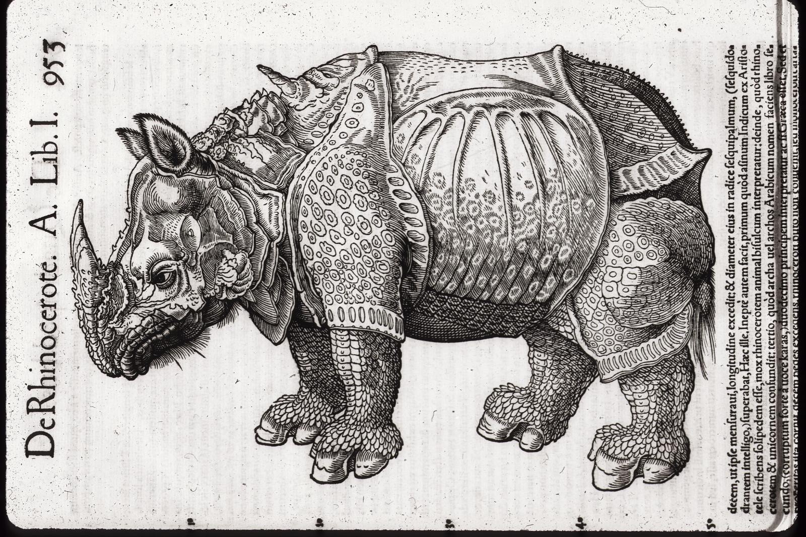 Why is that Rhinoceros Wearing a Suit of Armor?