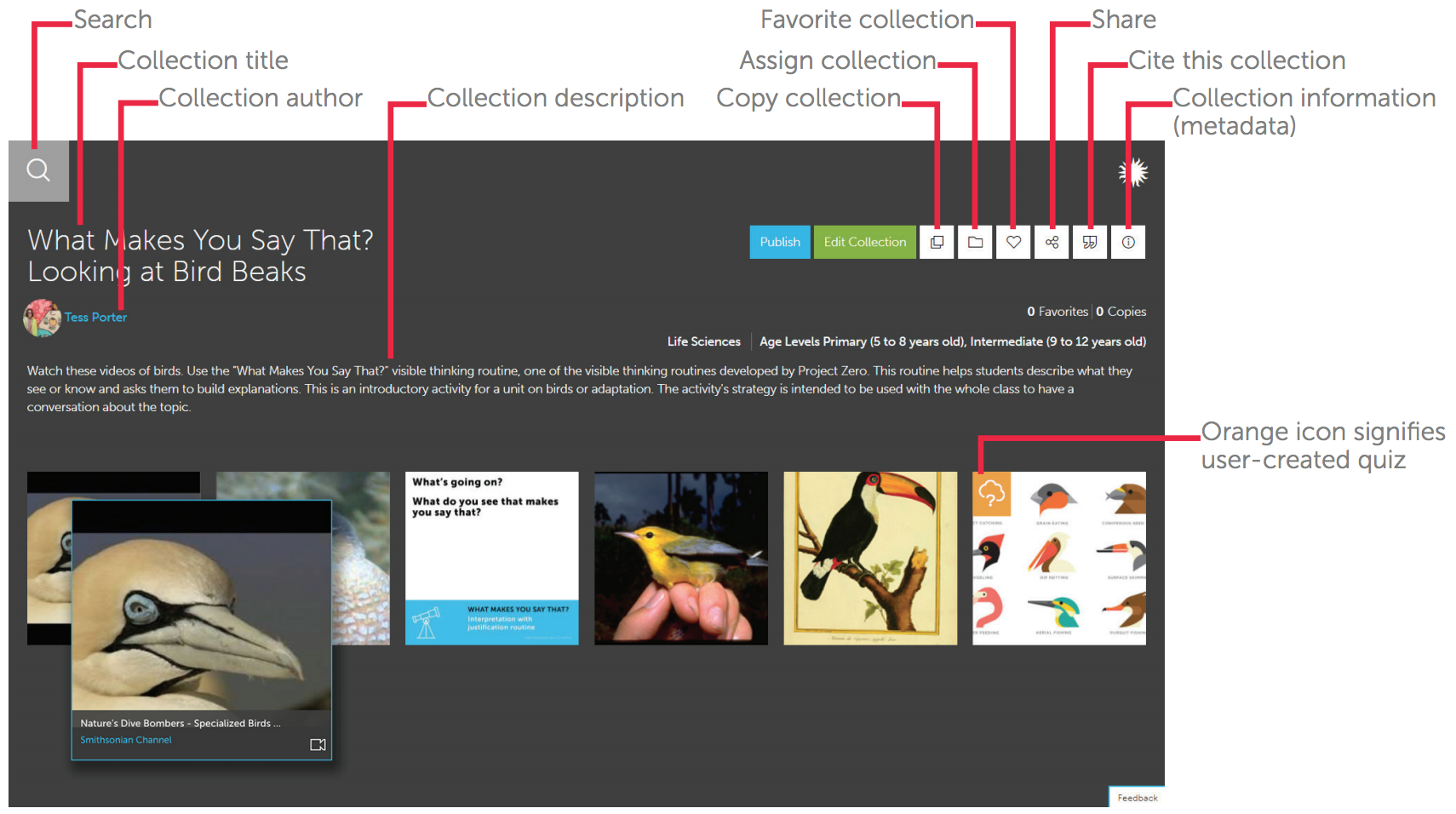 This user-created teaching collection, What Makes You Say That? Looking at Bird Beaks, includes videos, images, a thinking routine, and a quiz. When a user hovers over each resource, he sees its title, source, and media type. Clicking on a resource opens it to show additional information. This user-created teaching collection, What Makes You Say That? Looking at Bird Beaks, includes videos, images, a thinking routine, and a quiz. When a user hovers over each resource, he sees its title, source, and media type. Clicking on a resource opens it to show additional information.