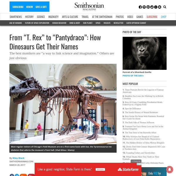resources-from-t-rex-to-pantydraco-how-dinosaurs-get-their