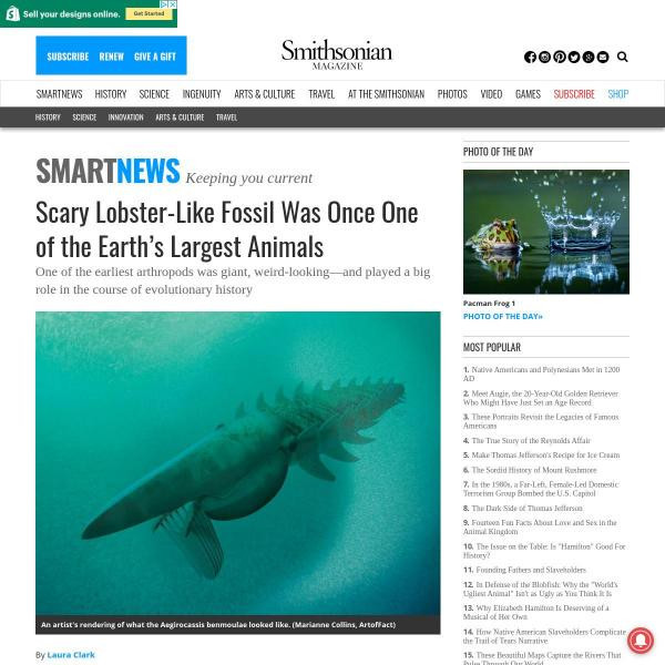 Resources :: Scary Lobster-Like Fossil Was Once One of the Earth's Largest  Animals | Smithsonian Learning Lab