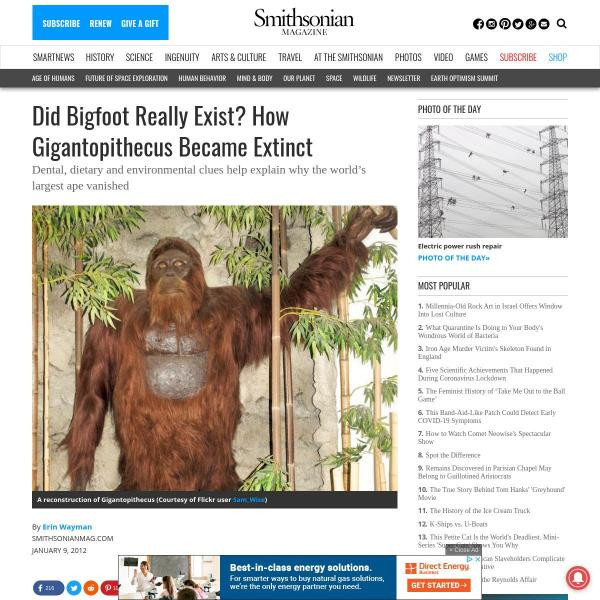 Did Bigfoot Really Exist? How Gigantopithecus Became Extinct