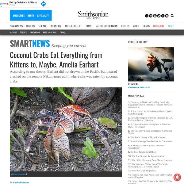 Resources :: Coconut Crabs Eat Everything from Kittens to, Maybe