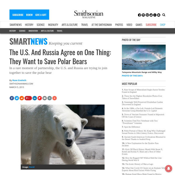 Resources :: The U.S. And Russia Agree on One Thing: They Want to Save  Polar Bears