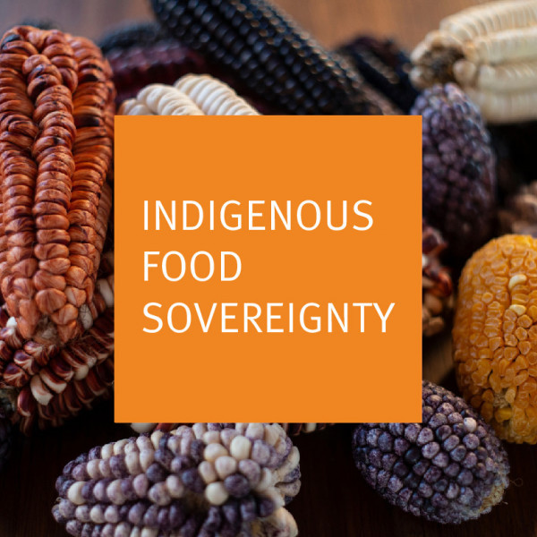 collections-youth-in-action-indigenous-food-sovereignty