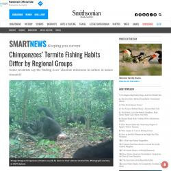 food habits of chimpanzees food habits of chimpanzees